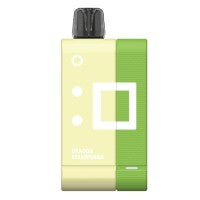 Elf Rechargeable EW9000  Pod Kit